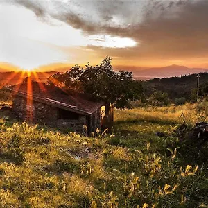 Fattoria La Tavernuzza , Grassina Italia